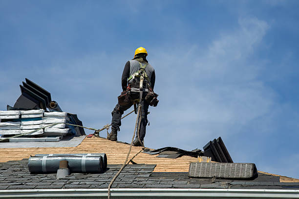 Professional Roofing technician working in Collins, MS